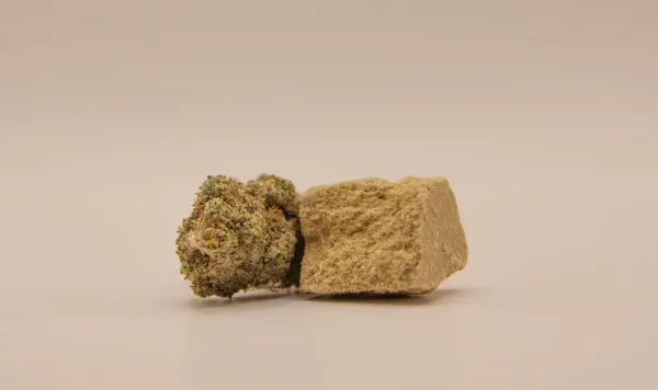 Legale Cannabis-Shops im Internet: Worauf Verbraucher achten sollten